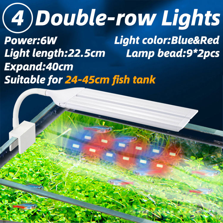 6W-Lumières bleues et rouges de Double-rangée