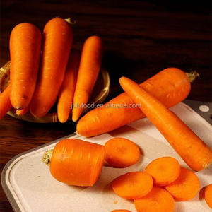 <span class=keywords><strong>2025</strong></span> <span class=keywords><strong>New</strong></span> thu hoạch Hữu Cơ tươi Cà rốt giá rẻ giá Trung Quốc <span class=keywords><strong>Crop</strong></span> đối với bán - Product Image 6
