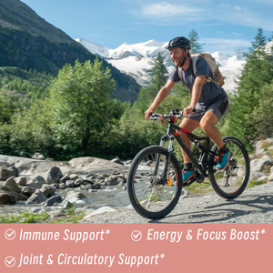 Capsules de Crinière de Lion de Haute Qualité en Gros pour OEM – Soutient la Fonction Cérébrale et Cognitive, Favorise la Croissance Nerveuse - Product Image 5