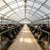 Estructura de Lona para Rancho de Caballos Resistente a los Rayos UV, 850g/m², Arco Gótico de Techo Alto, 80x120m, PVC Gris para Ovejas, Cabras y Ganado