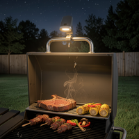 Lampe de barbecue rechargeable COB LED 300 lumens 4000K étanche IP65 USB-C, lampe de grillade rotative à 360° détachable avec 3 modes de gradation