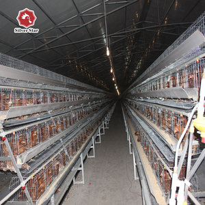 Gallinas ponedoras capa <span class=keywords><strong>de</strong></span> jaula <span class=keywords><strong>de</strong></span> pollo <span class=keywords><strong>de</strong></span> <span class=keywords><strong>granja</strong></span> - Product Image 6