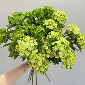 Bouquet d'hortensias artificiels Meng Jie, fleurs vert clair en plastique et soie, décoration d'intérieur, arrangement floral pour mariage - Product Image 4