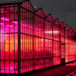 Đèn Thực Vật Bổ Sung Nhà Kính Làm Vườn Đèn <span class=keywords><strong>LED</strong></span> Chiếu Sáng Toplighting <span class=keywords><strong>LED</strong></span> Grow Light Module Đèn <span class=keywords><strong>Led</strong></span> Tăng Trưởng - Product Image 6