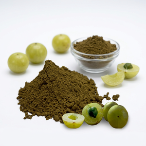 Fabricant de poudre de fruits Amla, g, origine indienne, haute qualité - Product Image 1