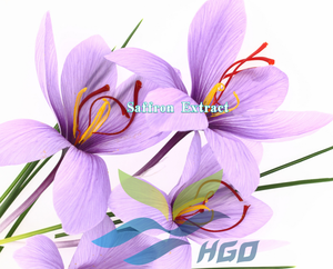 HGO Suministro directo de fábrica de extracto de azafrán natural puro (grado alimenticio) Especificación Safranal 1% - 50% (extracto estandarizado) - Product Image 2