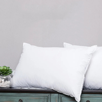 Oreiller de luxe personnalisé en duvet d'oie blanc, oreiller de couchage pour hôtel 5 étoiles