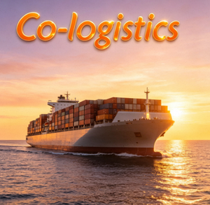 Offre exceptionnelle : Expédition maritime porte-à-porte DDP vers l'Italie - Product Image 1
