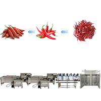 Kwaliteitsborging Automatische Paprika & Chili Pepermolen Efficiënte Voedselverwerkingsmachine Chili Verwerkingsmachine