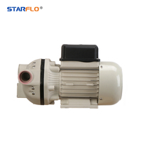 STARFLO Fabrika Fiyatı HV-30M 220V AC 30-35LPM Elektrikli Yüksek Debili Diyaframlı Yakıt Dizel Yağ Transferi Adblue Def Üre Pompası Araba İçin