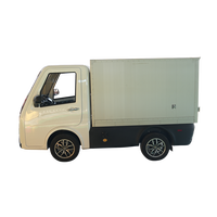 Mini camionnette électrique Endurance, autonomie de 300 km avec transmission automatique/manuelle, camion cargo de livraison du dernier kilomètre, petit