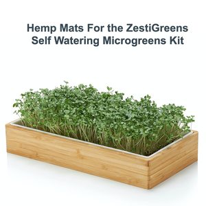 Nạp microgreen bao gồm cải xoăn và củ cải daikon và arugula và microgreen hữu cơ mù tạt và 4 thảm - Product Image 3
