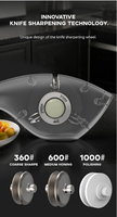 Aiguiseur de couteaux 3-en-1 multi-grains à diamant, à commande à une main, pour le camping et la cuisine