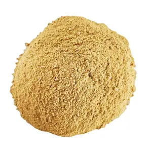 Global sales high refractoriness magnesia refractory gunning material for RH furnace