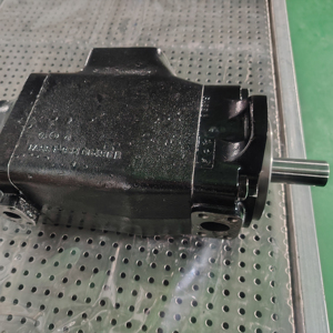 Pompe à palettes hydraulique série T6ED T6EC T6CC T6DC T6CY-B12-2L00-B1 T6DDC-045-028-020 T6CCM-B22-B05-SR15D111 T7EDS 052 B38 2R00 A100 - Product Image 1