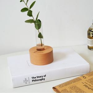 Creative Home Semplice Stile Pastorale Vaso in Legno Trasparente Idroponico Vetro Inciso Tubo di Prova Eco Ornamento Del Desktop - Product Image 6