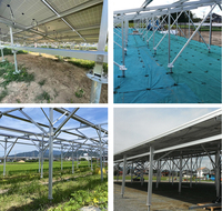 Supports de vis de sol en acier galvanisé personnalisé, 10 pièces, pour système de montage solaire, ancre de vis terrestre
