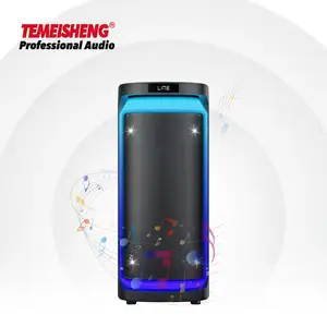 Temeisheng Y-621 actif sans fil BT haut-parleur professionnel audio vidéo basse son TWS fonction danse dj boîte haut-parleur de fête