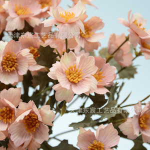 ดอกเบญจมาศประดิษฐ์จาก Dongchen Crafts ขนาด 10-30 ซม. สำหรับตกแต่งภายในอาคาร - Product Image 2