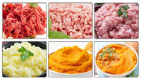 Hachoir à viande commercial automatique en acier inoxydable 304, machine à saucisses industrielle, hachoir à viande congelée, pour boulettes de viande et poulet, avec roulement de moteur