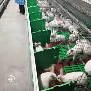plastic rabbit mat for rabbit cage pure pp rabbit cage floor