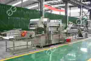 케 랄라에서 기계 가격을 만드는 Gelgoog 자동 파삭 파삭 한 바나나 칩 - Product Image 4