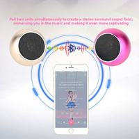 Haut-parleur portable V5.0 avec fente pour carte, design métallique, basses puissantes, portée >10M, utilisation extérieure, mini format, son mono, micro intégré