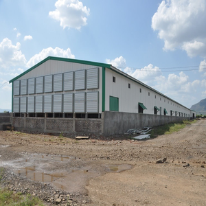 Moderna Struttura Prefabbricata in Acciaio Ecologica per Allevamento di Polli Edificio Sostenibile in Struttura d'Acciaio per Fattorie - Product Image 4