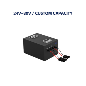 Lithium <b>Battery</b> Pack with BMS 24V <b>48V</b> 80V Replacement Power System - Product Image 2