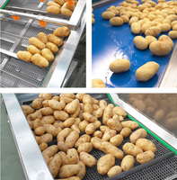 Commerciële productielijn voor aardappelchips van roestvrij staal, inclusief snij- en frituursysteem