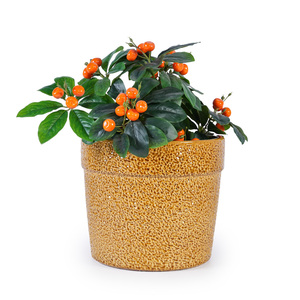 Juego de 3 macetas de cerámica de 15, 12 y 9 pulgadas con esmalte moteado en tonos tierra para orquídeas, plantas de interior y decoración de ventana. - Product Image 6