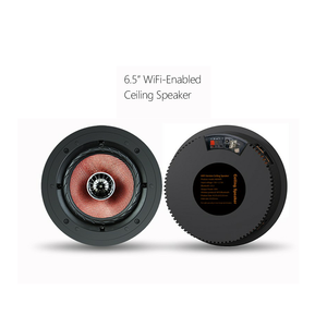 YZ466WIFI ลำ<span class=keywords><strong>โพ</strong></span><span class=keywords><strong>ง</strong></span>ติดเพดานขนาด 6.5 นิ้ว รอ<span class=keywords><strong>ง</strong></span>รับ WIFI และบลูทูธ, กำลั<span class=keywords><strong>ง</strong></span>ขับ 60 วัตต์ พร้อมแอมป์ในตัว ระบบเสีย<span class=keywords><strong>ง</strong></span>หลายห้อง สำหรับโฮมเธียเตอร์ ร้านอาหาร และโรงแรม - Product Image 1