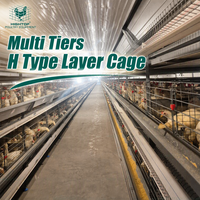 Système de cages en batterie automatique de type H pour poulets pondeuses avec contrôle PLC pour projets d'élevage avicole au Mexique et en Colombie