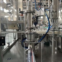 Ligne de machine de remplissage de bouteilles de fiole pour les composants de noyau de moteur de PLC et de vitesse de produits chimiques de boissons pour l'emballage de sac de matériel de poudre