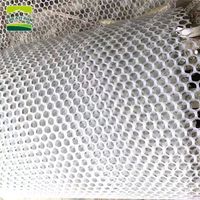 Grillage de Reproduction Plat en Plastique Blanc ou Vert GREAT FARM pour Poulets, Oiseaux, Plancher de Cage à Volaille