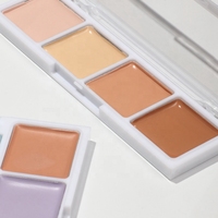Visage couverture complète étanche Orange correcteur Palette sourcils professionnel impeccable étiquette privée couleur correcteur maquillage