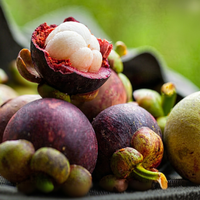 Natuurlijk Garcinia Cambogia Extract Kruidenplantenextract voor voedingswelzijn en botanische producttoepassingen
