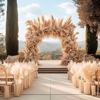 Roseaux secs naturels et herbe de la pampa pour décorations de mariage, décoration de maison de style bohème, approvisionnement direct du fabricant