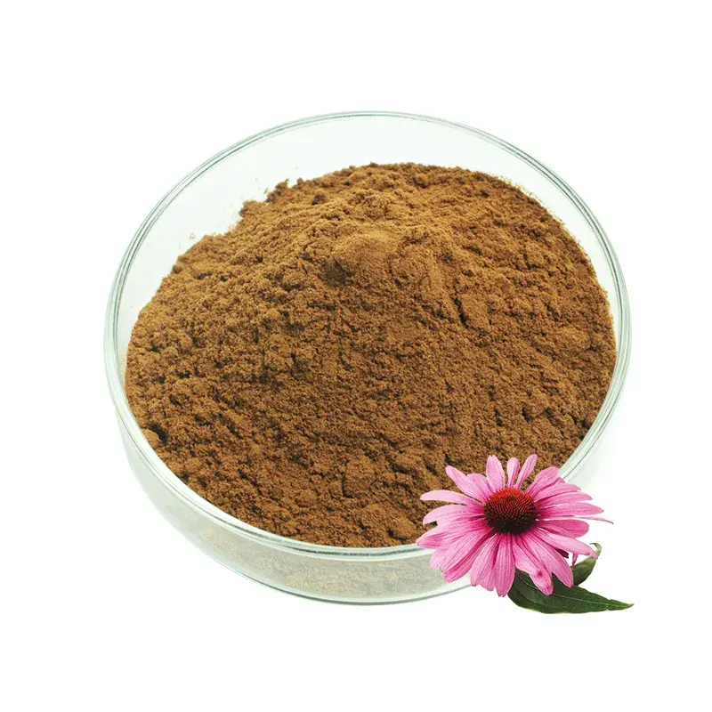 Hot Selling Product High Quality echinacea extract powder echinacea extract