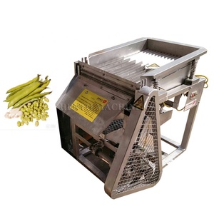 Éplucheuse automatique de graines de <span class=keywords><strong>soja</strong></span> vertes / Machine à éplucher les haricots / Machine à retirer les coquilles d'edamame - Product Image 5