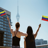 2024 Venta caliente de fábrica Venezuela poste de madera bandera ondeada a mano para vacaciones generales