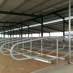 Thiết bị sữa gian hàng Trung Quốc sản xuất giá bò sữa miễn phí gian hàng gia súc cho trang trại bò sử dụng thiết bị - Product Image 5