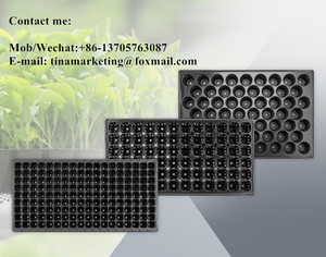 Plateau de semis en plastique à 45 alvéoles profondes pour pépinière forestière, plateau de germination de graines d'arbres de haute qualité - Product Image 6