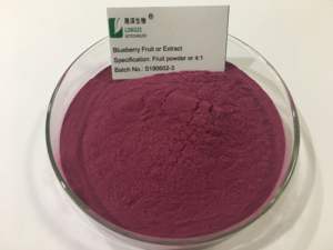 Rifornimento della fabbrica di succo di mirtillo e concentrato in polvere di mirtillo - Product Image 4