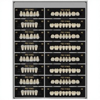 Dents en résine acrylique multicouche OEM d'usine, dents synthétiques en résine acrylique composite pour prothèses dentaires