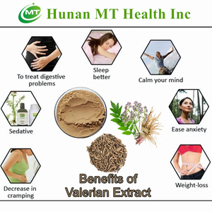 Chất lượng cao tinh khiết thư giãn ngủ Viện trợ <span class=keywords><strong>valerian</strong></span> chiết xuất valeriana officinalis chiết xuất từ rễ bột - Product Image 3