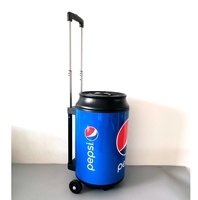 Glacière portable en plastique de 19 L pour le camping en plein air, transport de vaccins, glacière à roulettes avec poignée