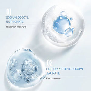 Fabricante Mayorista OEM/ODM, Producto de Cuidado de la Piel en Gel con Aminoácidos, Limpieza Suave para una Piel Lisa, para Todo Tipo de Piel - Product Image 5