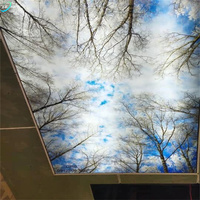 Dekorasi 3D cetakan UV Digital DIY ruang luminer tekstil palsu mural PVC film langit-langit melar membran plastik untuk atap