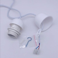 Lampe suspendue créative personnalisée Ruyi DT-007 pour salon, en plastique et cuivre, légère, sans batterie, 250V, garantie 3 ans